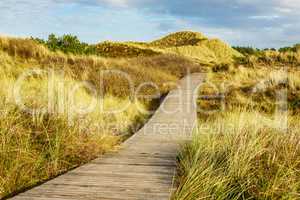 Landschaft in den Dünen auf der Insel Amrum