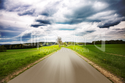 Road in nature in spring