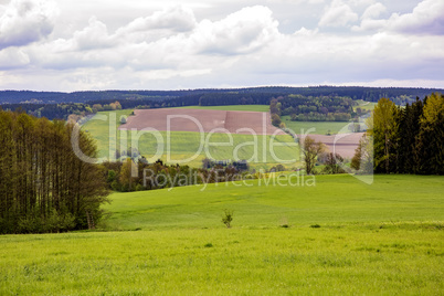 Nature landscape in spring