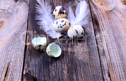 Quail eggs on a gray wooden surface,