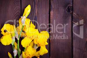 Bouquet of yellow irises