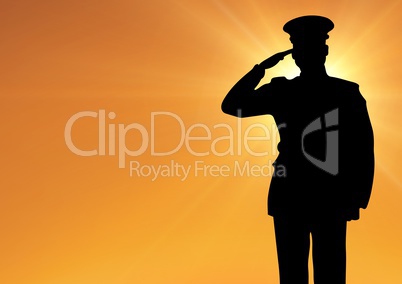 Captain silhouette saluting against sun