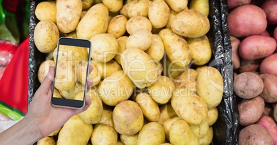 Hand taking picture of potatoes with mobile phone in store