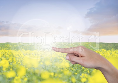 Hand pointing in  air of  flower meadow and blue sky