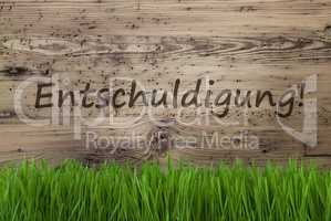 Aged Wooden Background, Gras, Entschuldigung Means Sorry