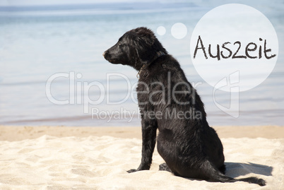 Dog At Sandy Beach, Auszeit Means Downtime