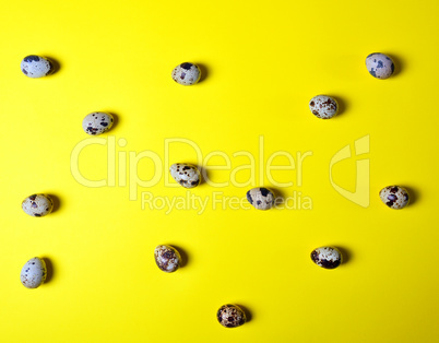 Fresh quail eggs on a yellow background