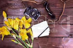 Old film camera and a bouquet of yellow irises