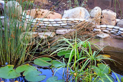 Small decorative pond in the garden.