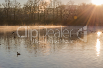 Morgennebel Abtskücher Teich in Heiligenhaus