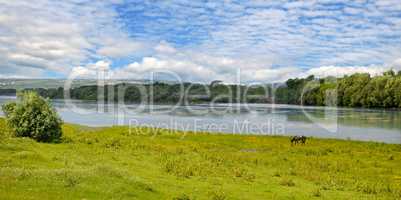 Plain river, meadow and floodplain forest