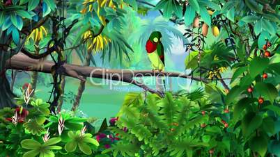 Colorful Parrot in a Jungle