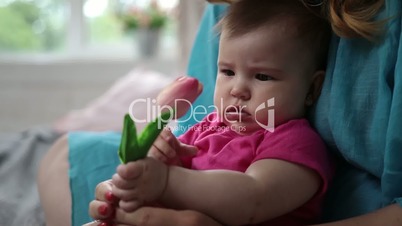Curious baby girl smelling tulip flower