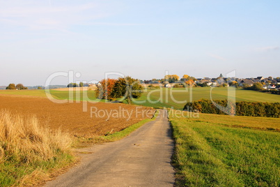 Herbstlandschaft bei Irmenach