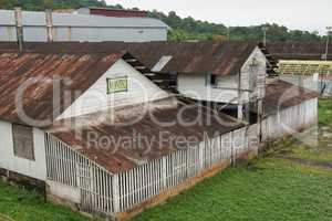 Ehemalige Plantage Monte Cafe, Sao Tome und Principe, Afrika