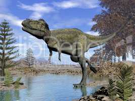 Alioramus dinosaur - 3D render