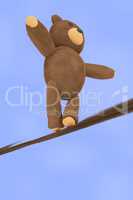 Teddy Bear balancing on the broken rope