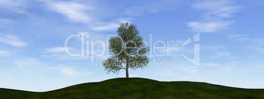 Single tree - 3D render