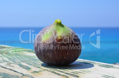 One ripe blue fig