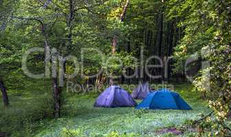 tourist camping in forest