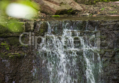 cascade falls in forest