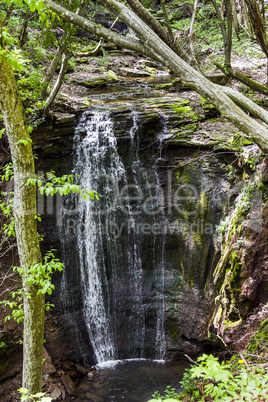 cascade falls in forest