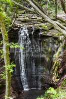 cascade falls in forest
