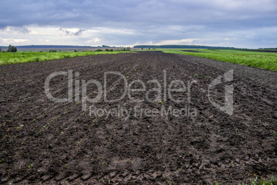 arable field farm