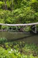 wooden suspension footbridge