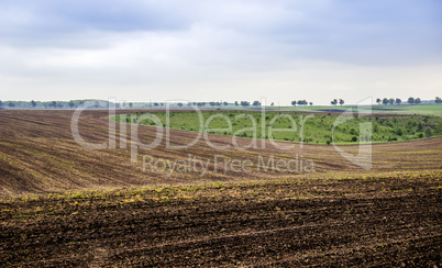 arable field farm