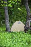 tourist tent in forest