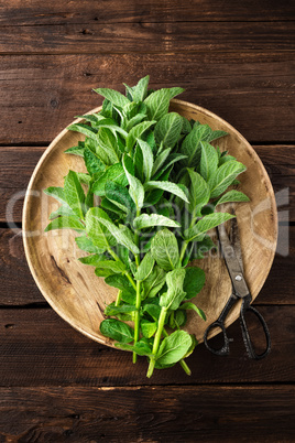 Fresh mint leaves on wooden rustic table, top view