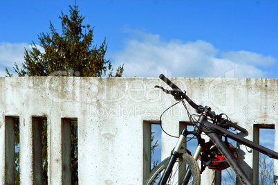 ride, up high, tree, Bicycle, wall, concrete, fencing