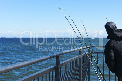 fisherman, sea, fishing, fishing rods, catch, pier, fishing