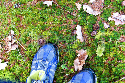 walk, stand, shoes, Hiking, trekking, moss, stone, leaves