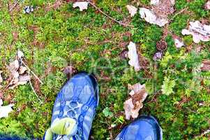 walk, stand, shoes, Hiking, trekking, moss, stone, leaves