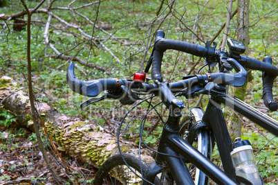 Bicycle, veloplasty, walk, forest, spring, two bicycles, spring, forest