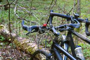 Bicycle, veloplasty, walk, forest, spring, two bicycles, spring, forest