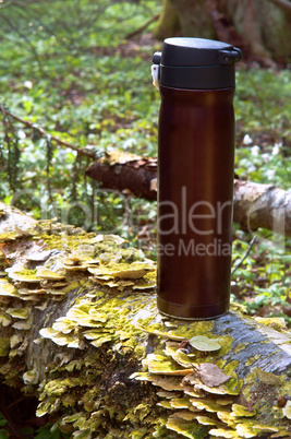 thermos, forest, hike, journey, relaxation, drink, hot, mug