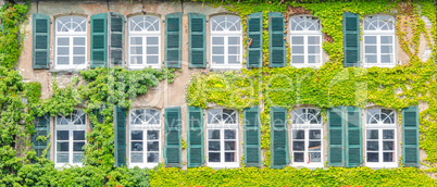 Facade greening with climbing plants