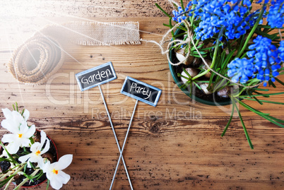 Sunny Flowers, Signs, Text Garden Party