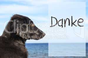 Dog At Ocean, Danke Means Thank You