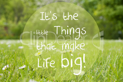 Gras Meadow, Daisy Flowers, Quote Little Things Make Life Big