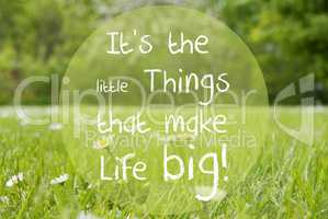 Gras Meadow, Daisy Flowers, Quote Little Things Make Life Big
