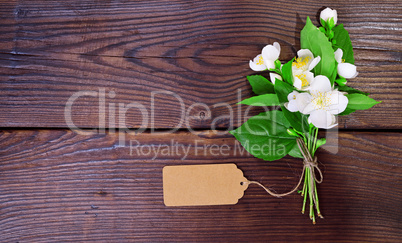 bouquet of blooming white jasmine