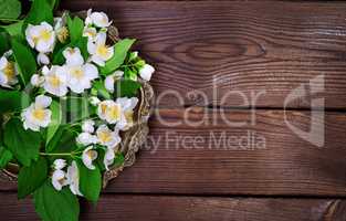 Bouquet of white blossoming jasmine on a copper plate