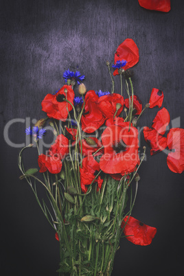 Bouquet of field red poppies