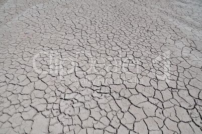 Cracked earth from drought