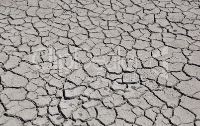cracked by drought the ground