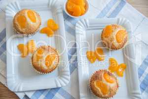 Aprikosen Muffins